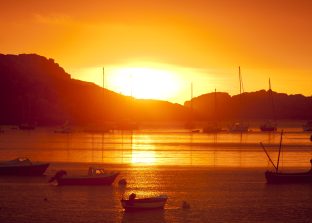 wildlife boat trips scilly isles