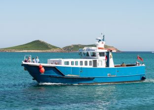 wildlife boat trips scilly isles