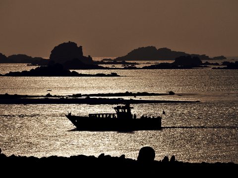 Evening Boats