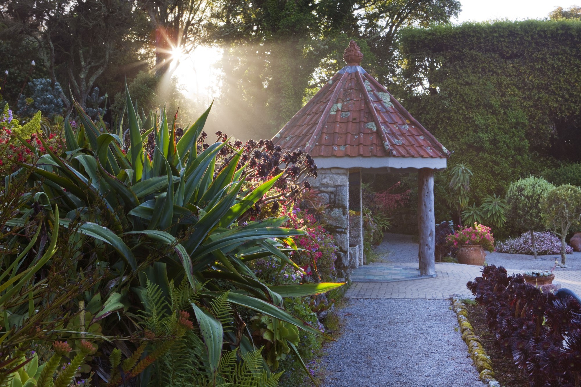 Tresco Abbey Garden Clive Nichols Web Res 3