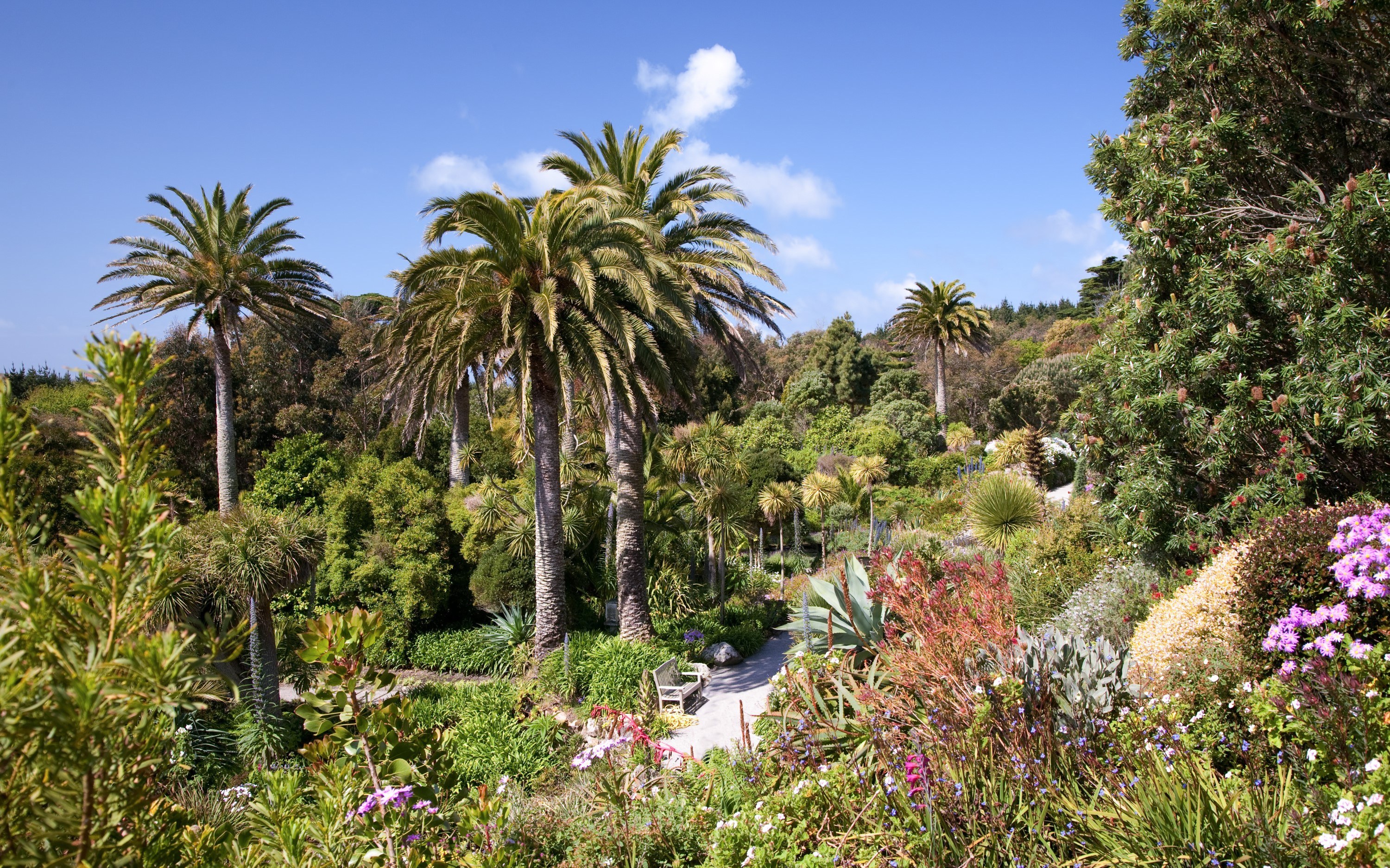 Tresco Abbey Garden Credit Andrew Roland