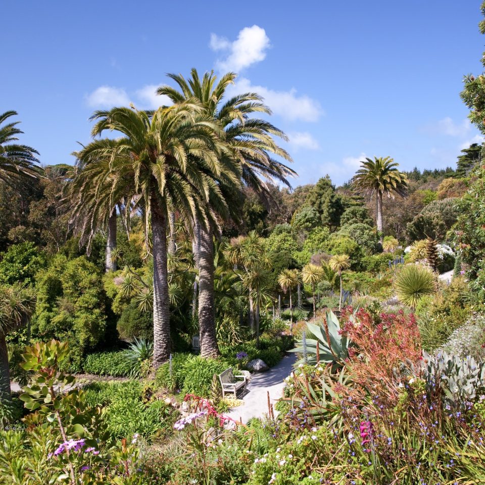 Tresco Abbey Garden Credit Andrew Roland