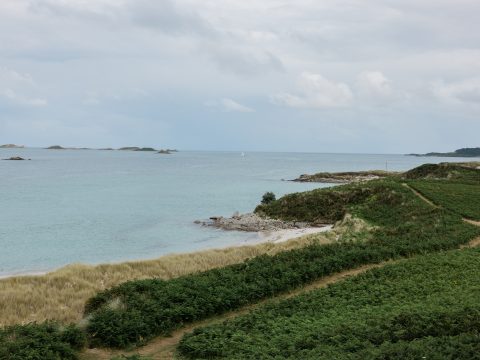 Archaeology Walks