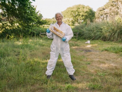 Walk Scilly: The Beehive Tour & Taster