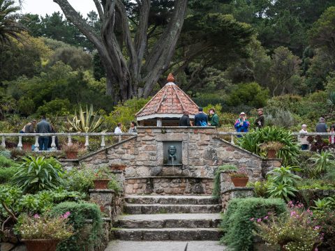 Hidden Harvest 2025 35 resized