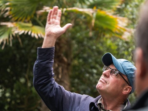 Hidden Harvest 2025 5