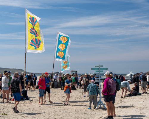 Low Tide Event April 2025 Credit Tom Matthews 13