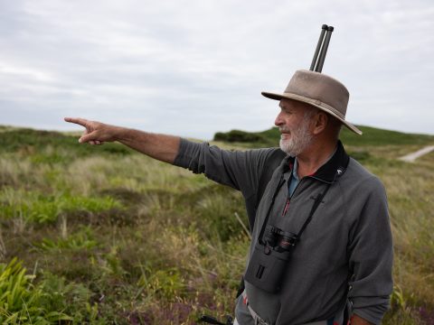 Walk Scilly: Wild Tresco