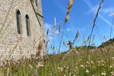 Wild Churchyard Survey