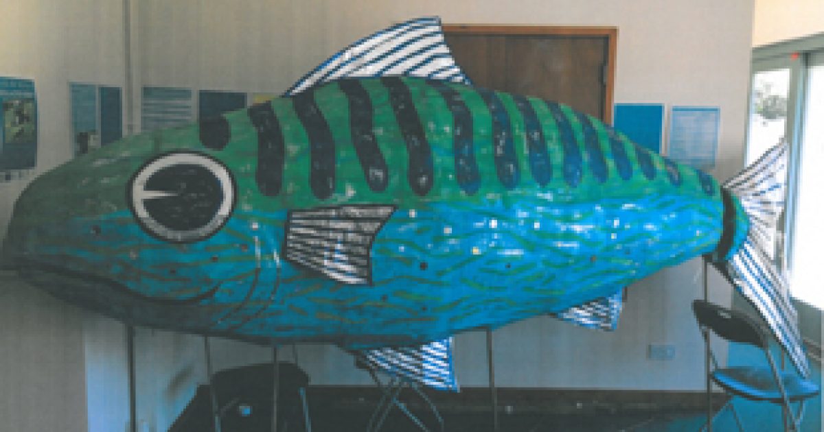 Operation Fish Fetch | Tresco Island