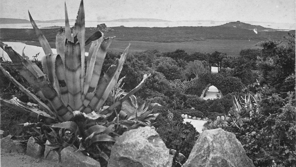 Tresco Island Abbey Gardens History 960x540 4