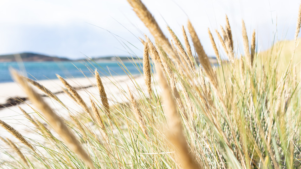 TRESCO18 GEM 0228