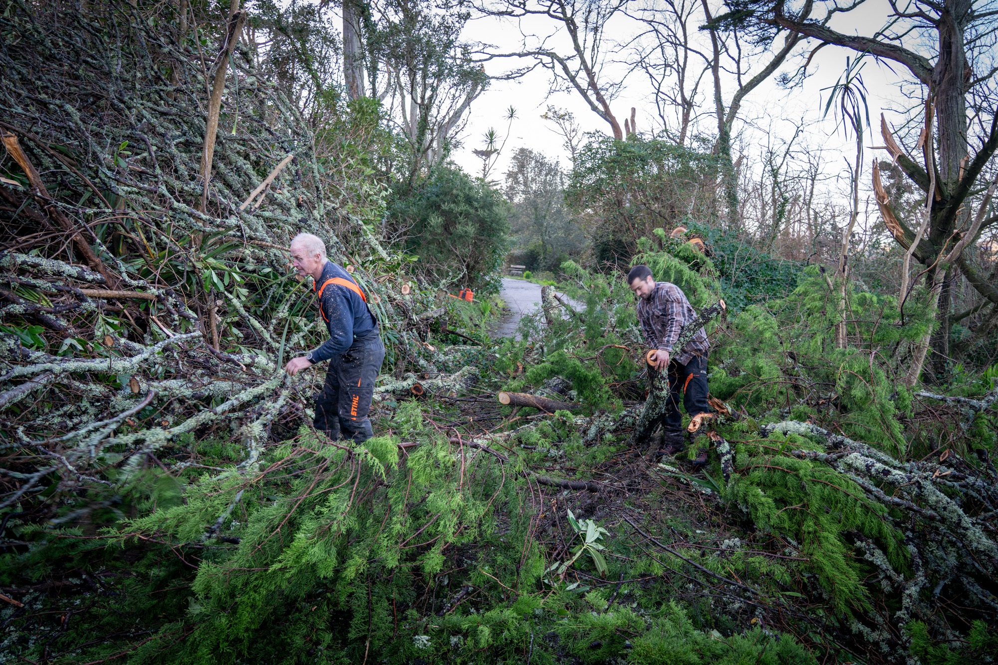 Tresco Storm Goretti 20