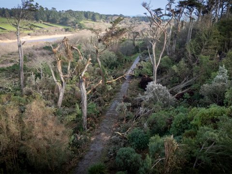 Storm Goretti: A Walk Through Recovery