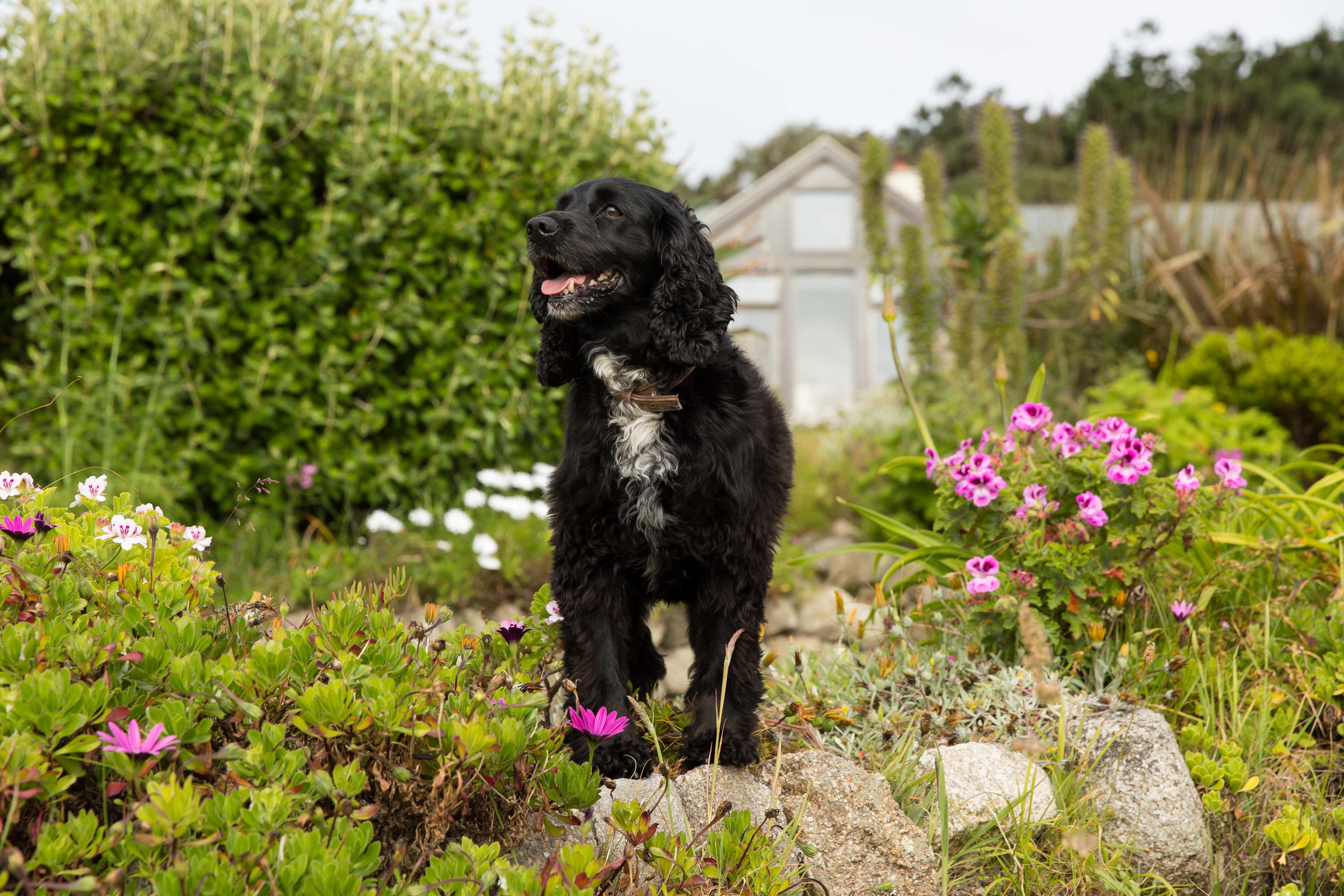 Commercial photographer cornwall london tresco 0693