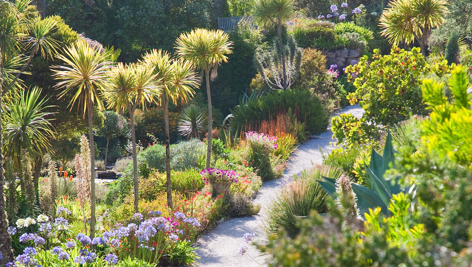 Tresco Abbey Garden 4