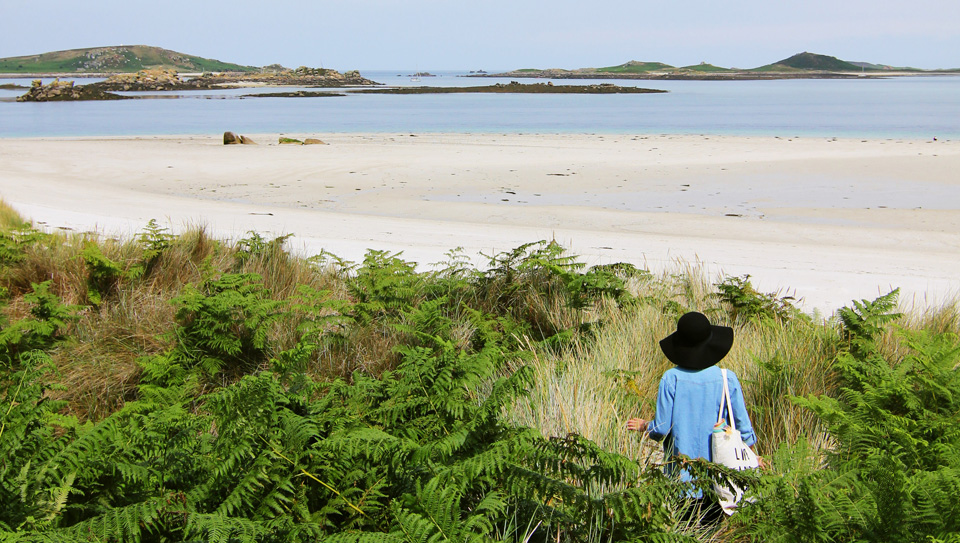 Tresco Generic 11