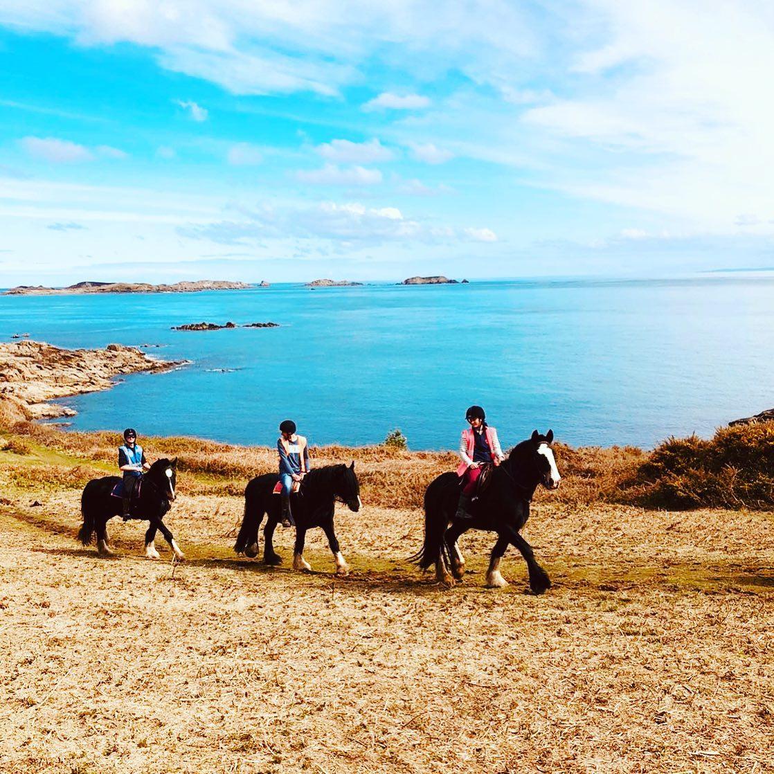 St Marys Horses